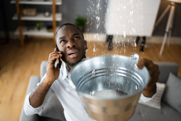Best Water damage restoration near me  in Belle Haven, VA