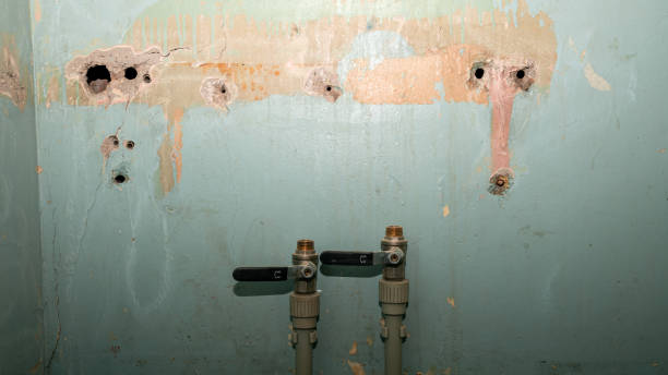  Belle Haven, VA Water damage restoration Pros